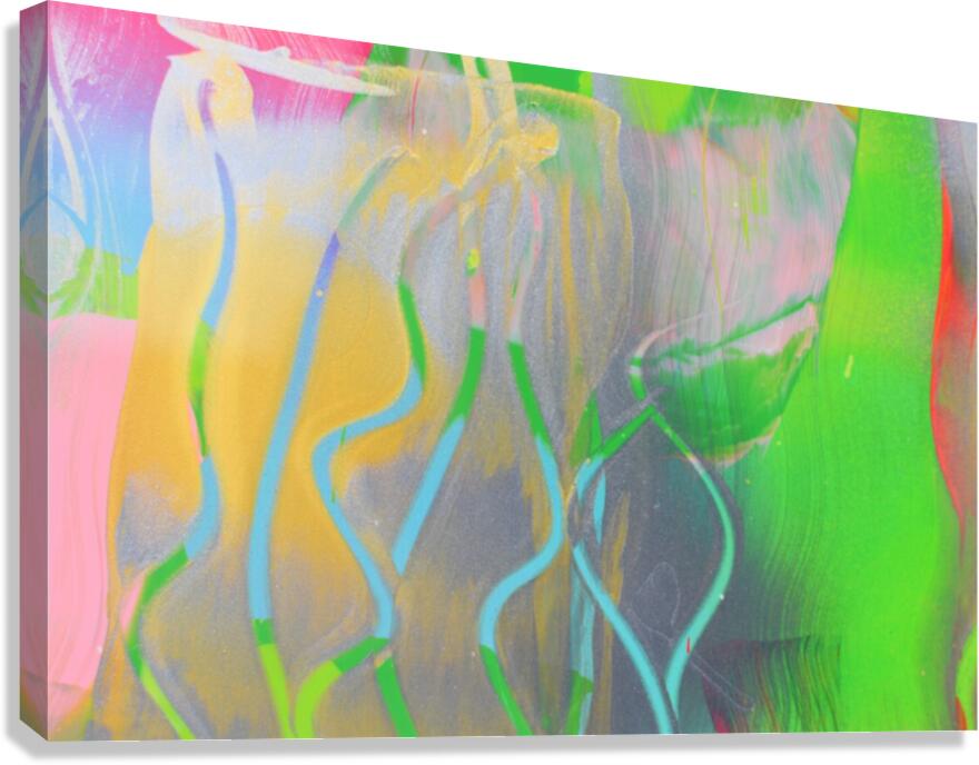 Squigle 6 Canvas Print