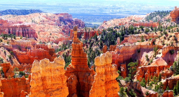 Bryce Print