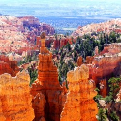 Bryce