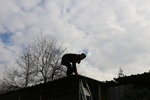 IMG 8830 by NES