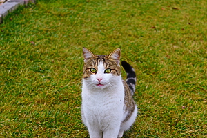 IMG 8873 by NES