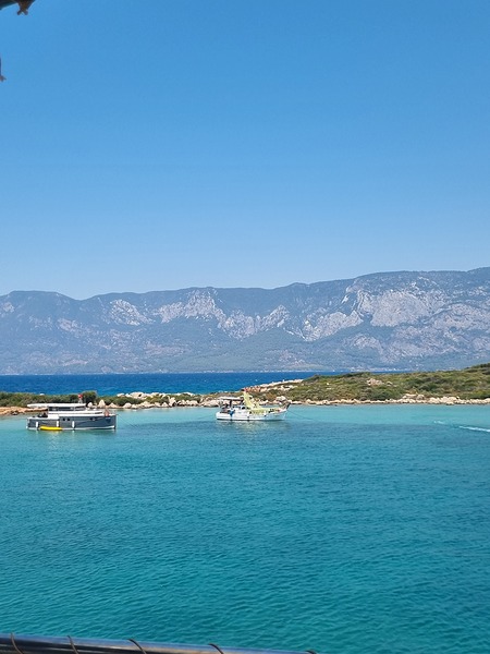 20230809 124624 Print