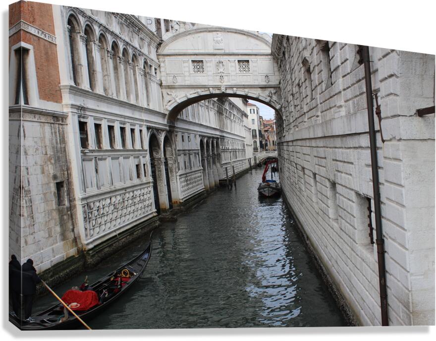 IMG 0950 Canvas Print