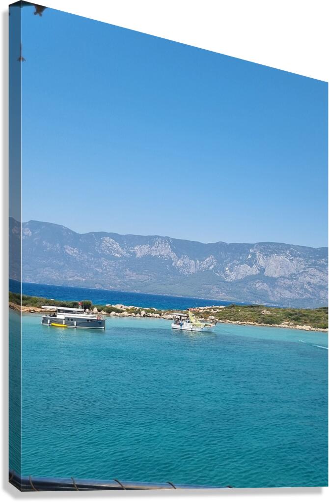 20230809 124624 Canvas Print