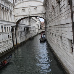 IMG 0950