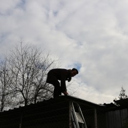 IMG 8830
