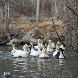 IMG 8853