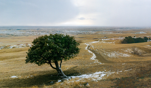 Entering The Badlands
