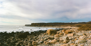 Montauk On Mushrooms