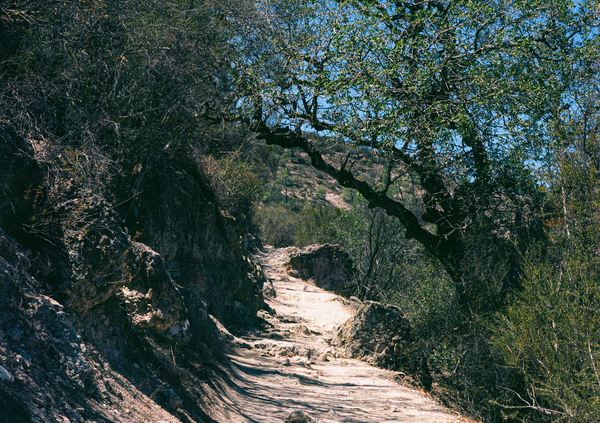 A Pinnacles Trail Print