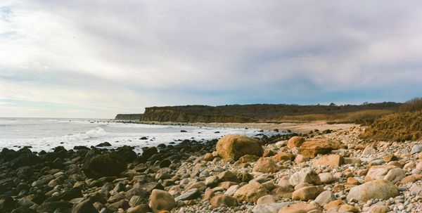 Montauk On Mushrooms Print