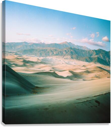 A Sea of Dunes Canvas Print