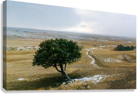Entering The Badlands Canvas Print