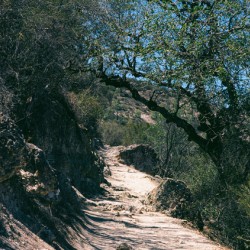 A Pinnacles Trail