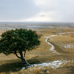 Entering The Badlands