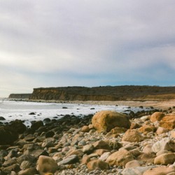 Montauk On Mushrooms