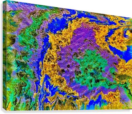 EXPENSIVE CORALS Canvas Print