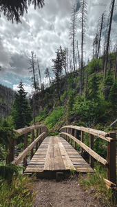 West Fork Bridge