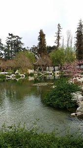 Surprise at Huntington Gardens