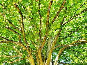 Polish 20250902 064402679