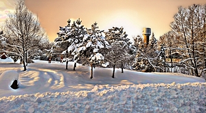 inbound853446473424701595