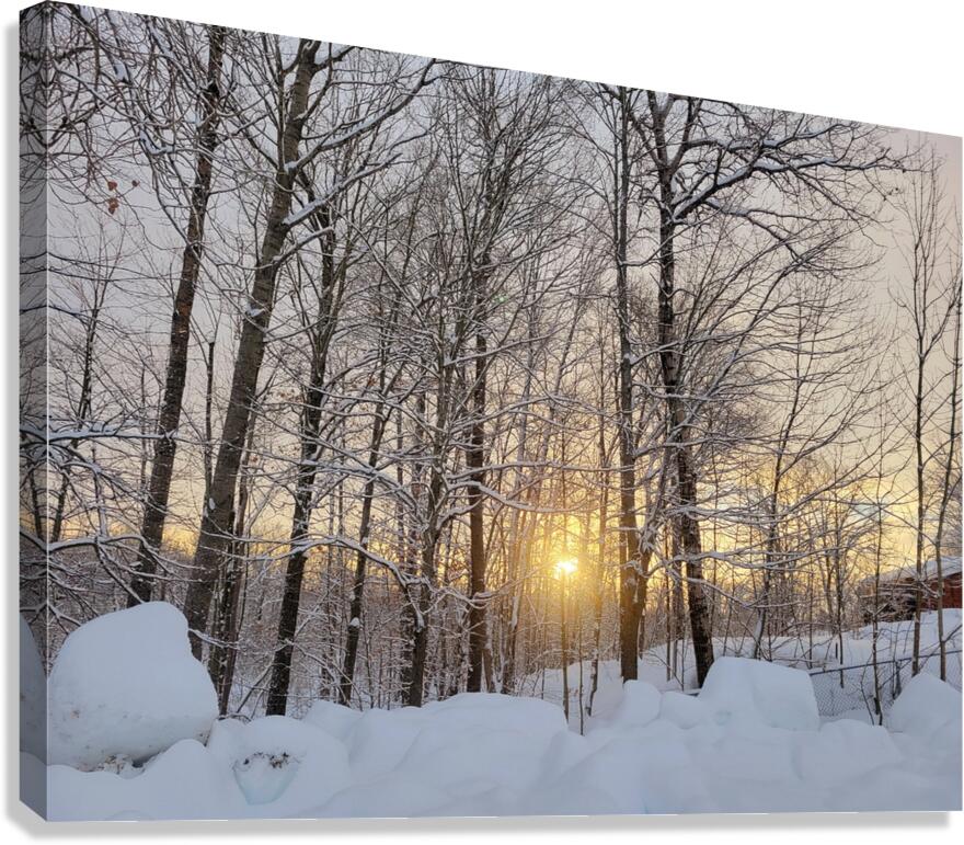 Sunset Delight Canvas Print