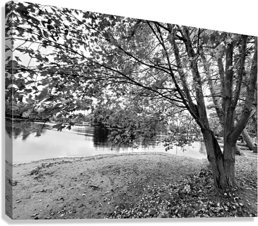 Simple Moments  Canvas Print
