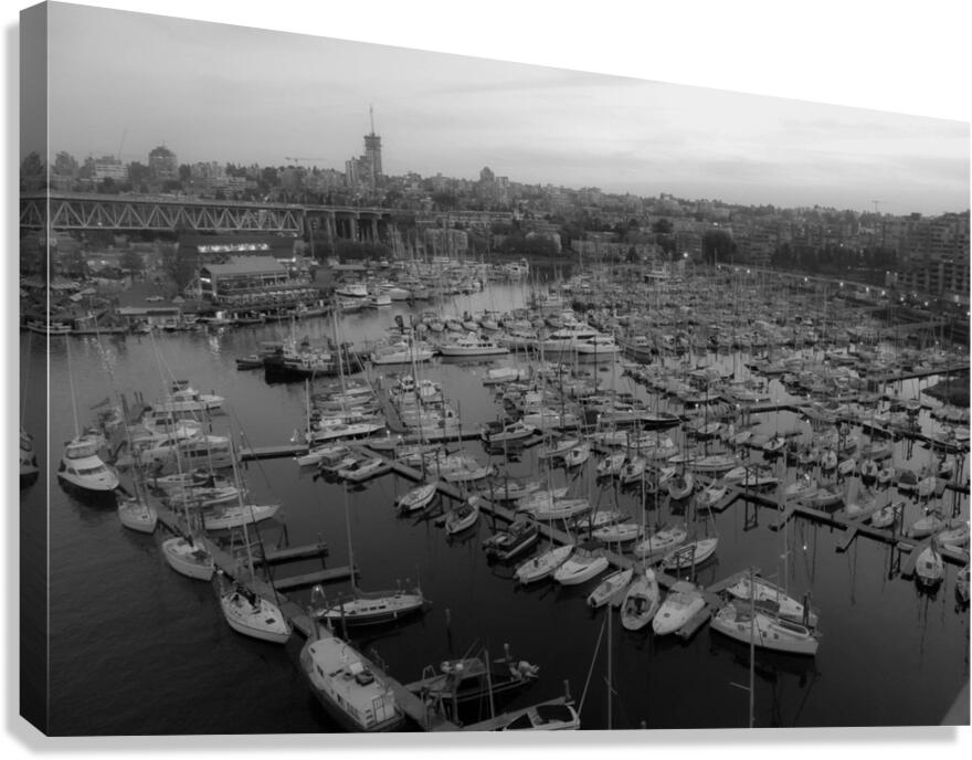 IMG 6997 Canvas Print