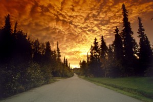 Road Into Sunset