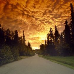Road Into Sunset