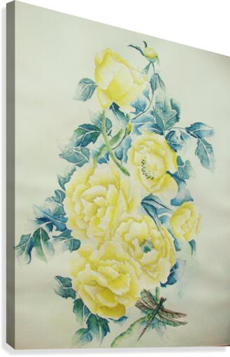 Illusions Canvas Print
