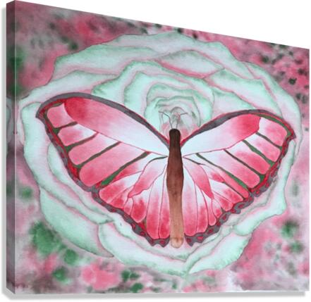 Metamorphosis Canvas Print