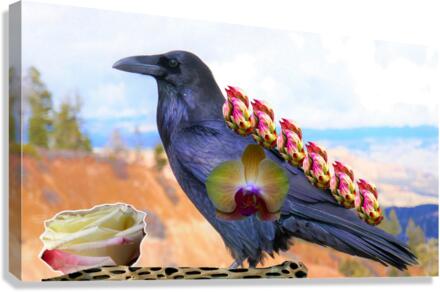 Raven Canvas Print