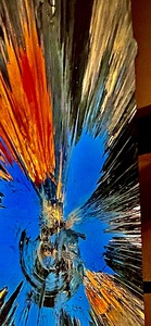 C814F544 B4A7 496E B429 EDAB9D528F56