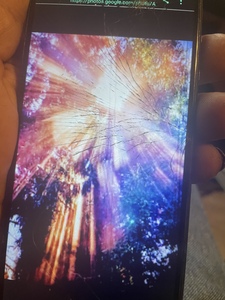 D55D7406 2990 41ED A558 2BB2C89674F2