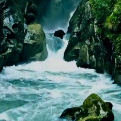 0A8A4BB1 553D 4BEE A800 FE5E0954B0C3