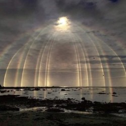 0F094A1C 281E 48C4 9057 416E6FB3EE0A