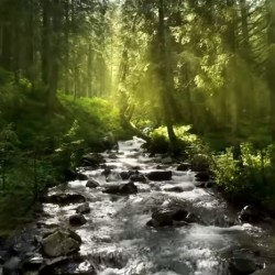 1338AB80 CB1B 4A1E 9115 CBA584CE0081