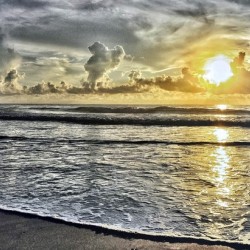 3C9F03FC 7E36 483F 8C02 E86E8463AEB3