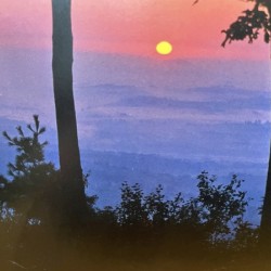 45A17DEF CAA6 47A1 B2E1 6BD2FDD68D3C