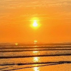 588E0CDC 8497 41FF 99AC 433C9F1C1EFA