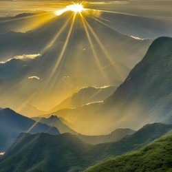 6836F4C6 327D 41F8 8EC0 ADA09537FBB5