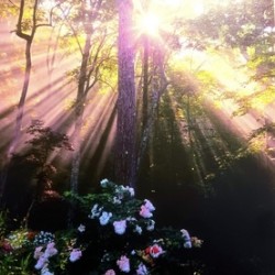 704E911E CDB3 471C 866B 9E1167217C6D