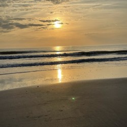 74AC3A38 5E78 47C4 8CF6 8F0B9F7FF315