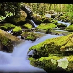 B29D37B0 17E0 445A 8158 F424EA434590