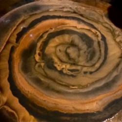 B8A92352 A975 4644 9C7E 3A8652DF4B63