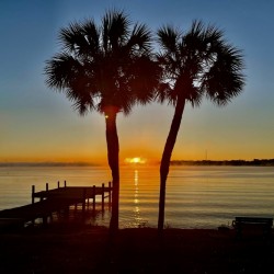 BAA228EA 3371 4832 A18F E421260A194B