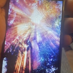 D55D7406 2990 41ED A558 2BB2C89674F2