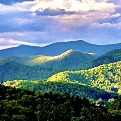 DE982CB9 DD42 4D1C A6D2 702A45D5943A