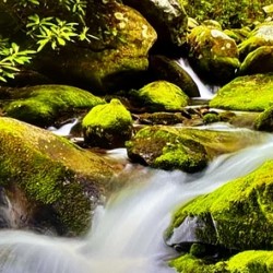 E877E1C9 1142 4946 9696 C7A43DF3C08E